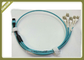 MPO / LC Optical Fiber Jumper Violet Bundle For Digital Multimedia Systems supplier